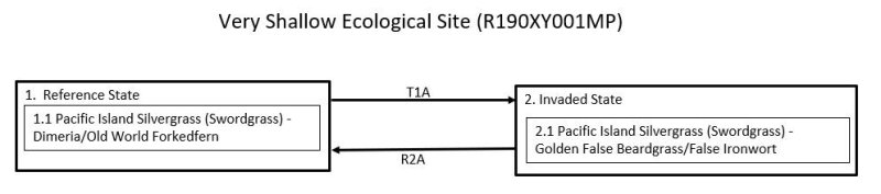 Model diagram