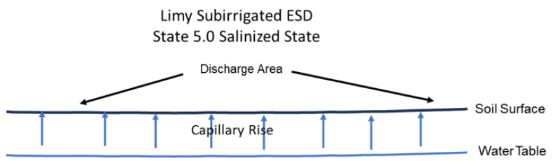 Model diagram