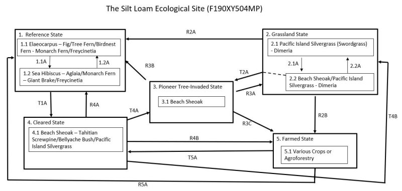 Model diagram