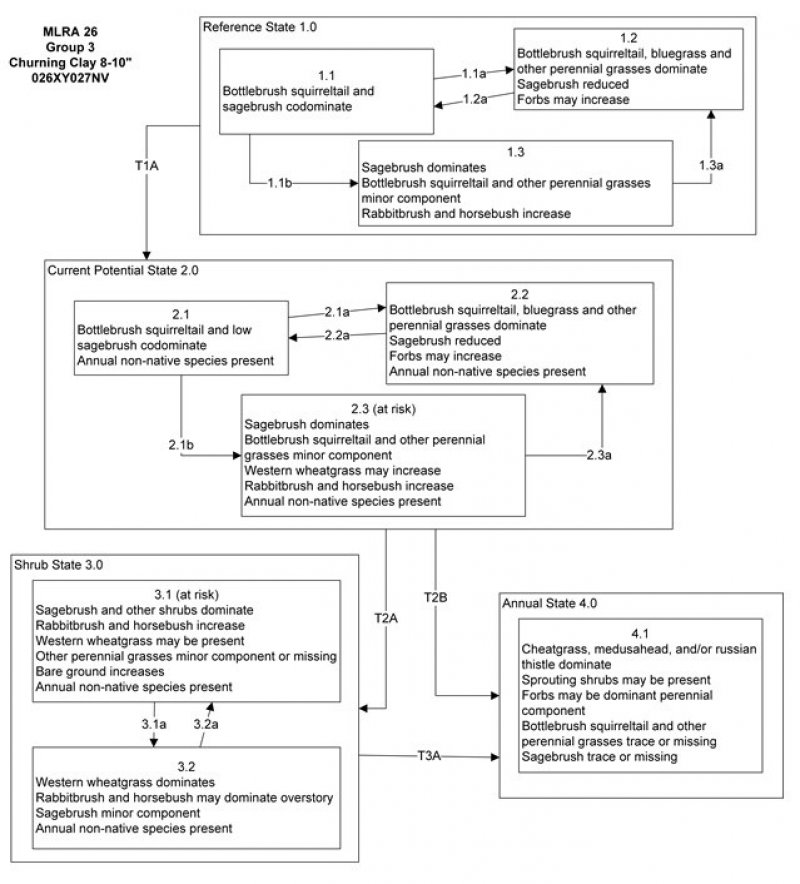 Model diagram