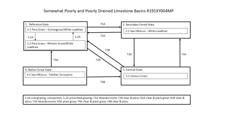 Model diagram