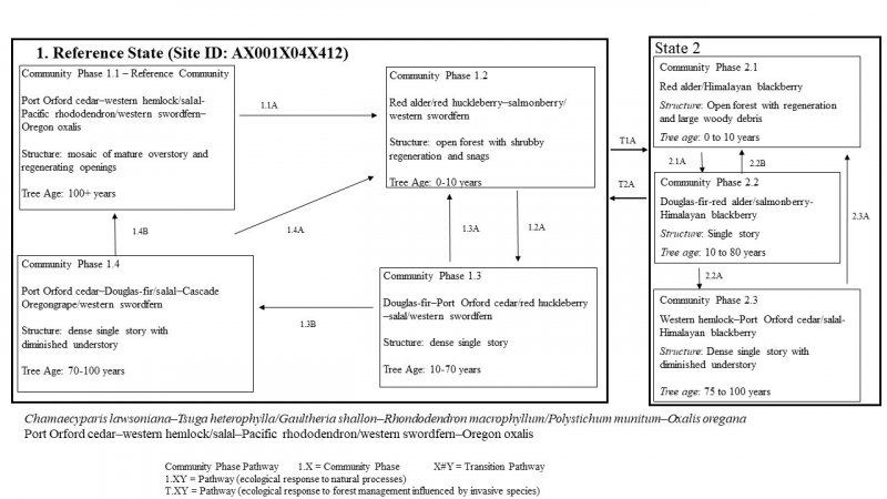 Model diagram