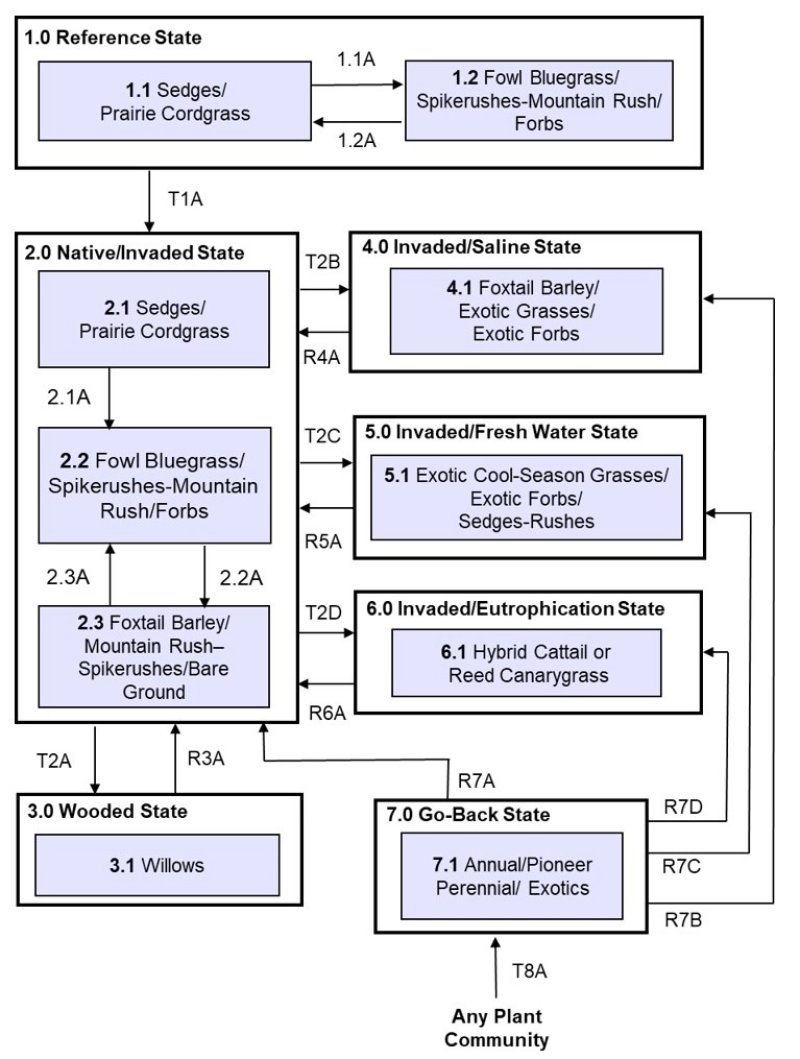 Model diagram