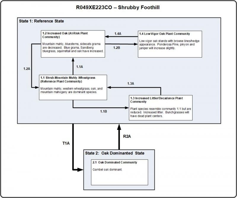 Model diagram