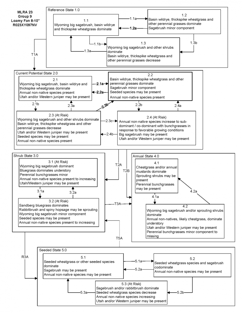 Model diagram