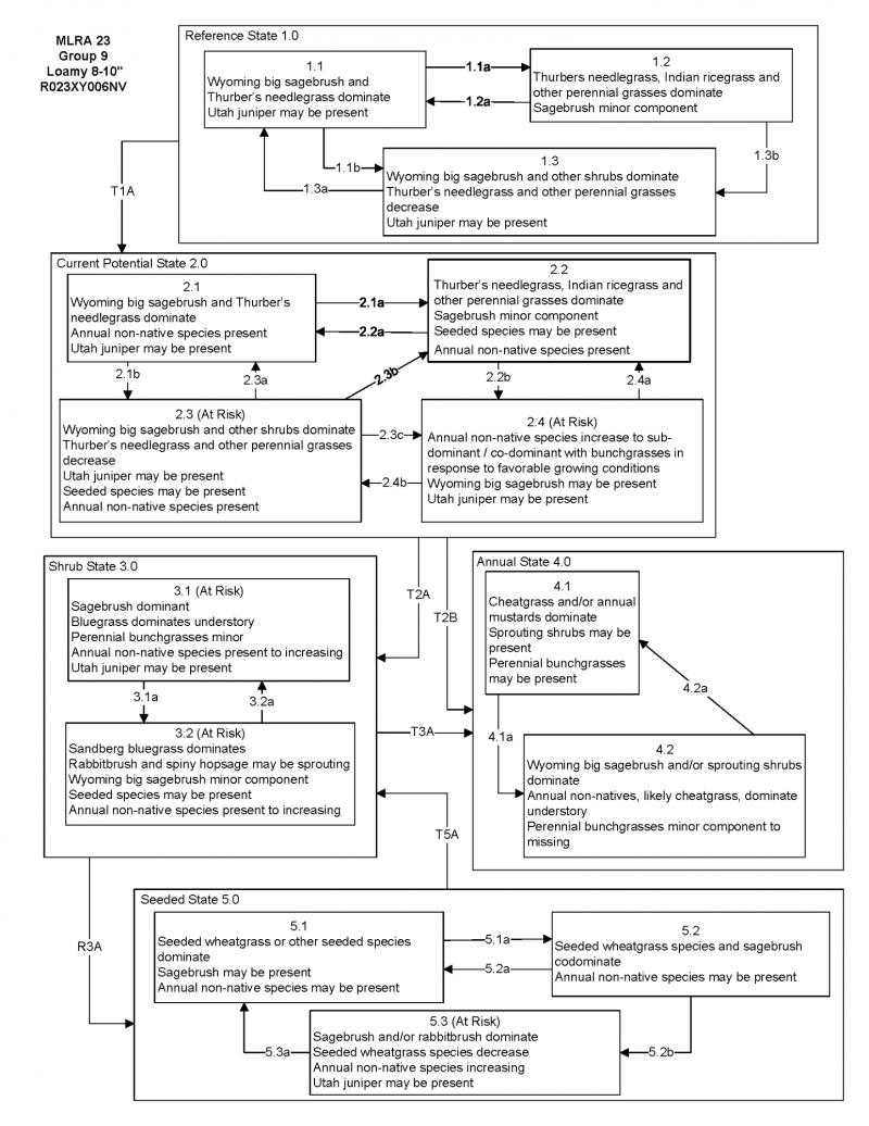 Model diagram