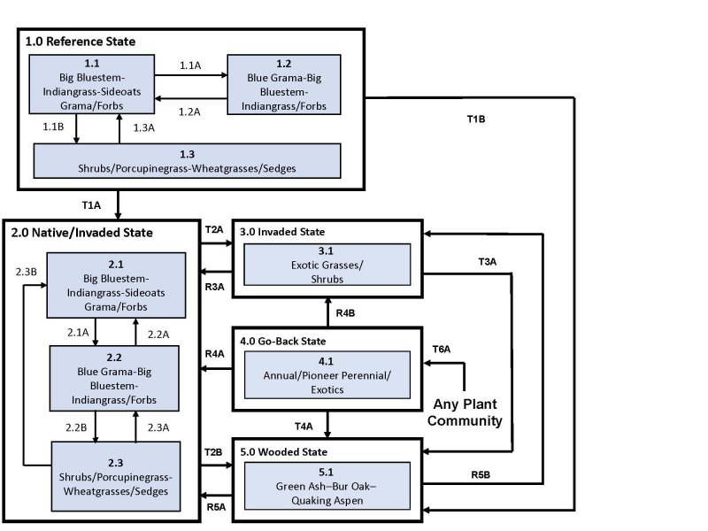 Model diagram