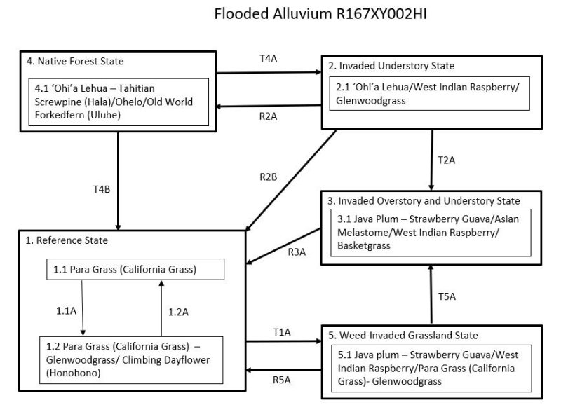 Model diagram