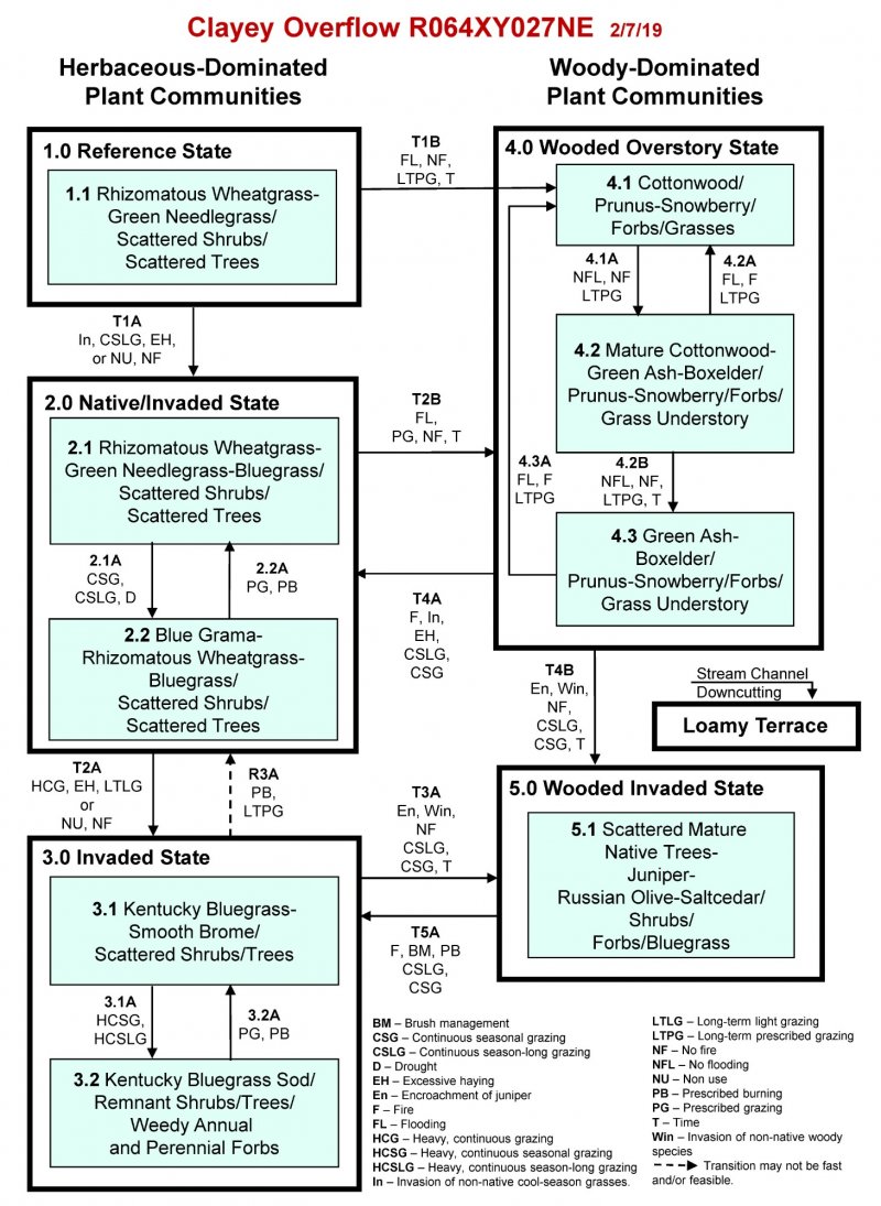 Model diagram