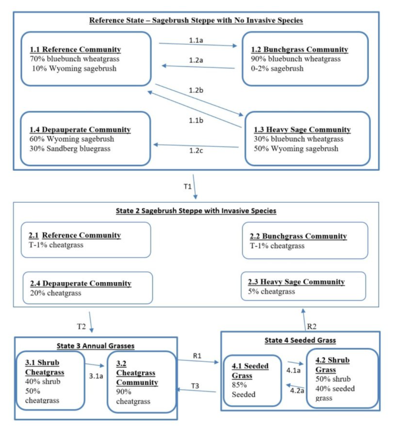 Model diagram