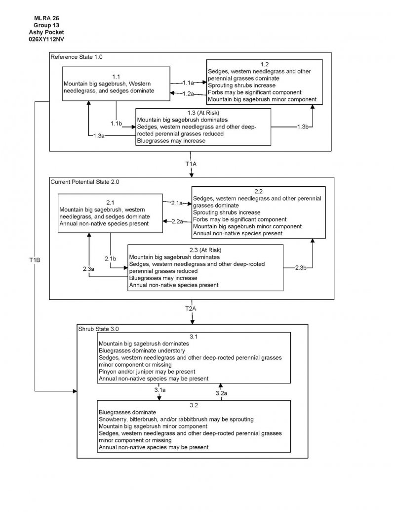 Model diagram