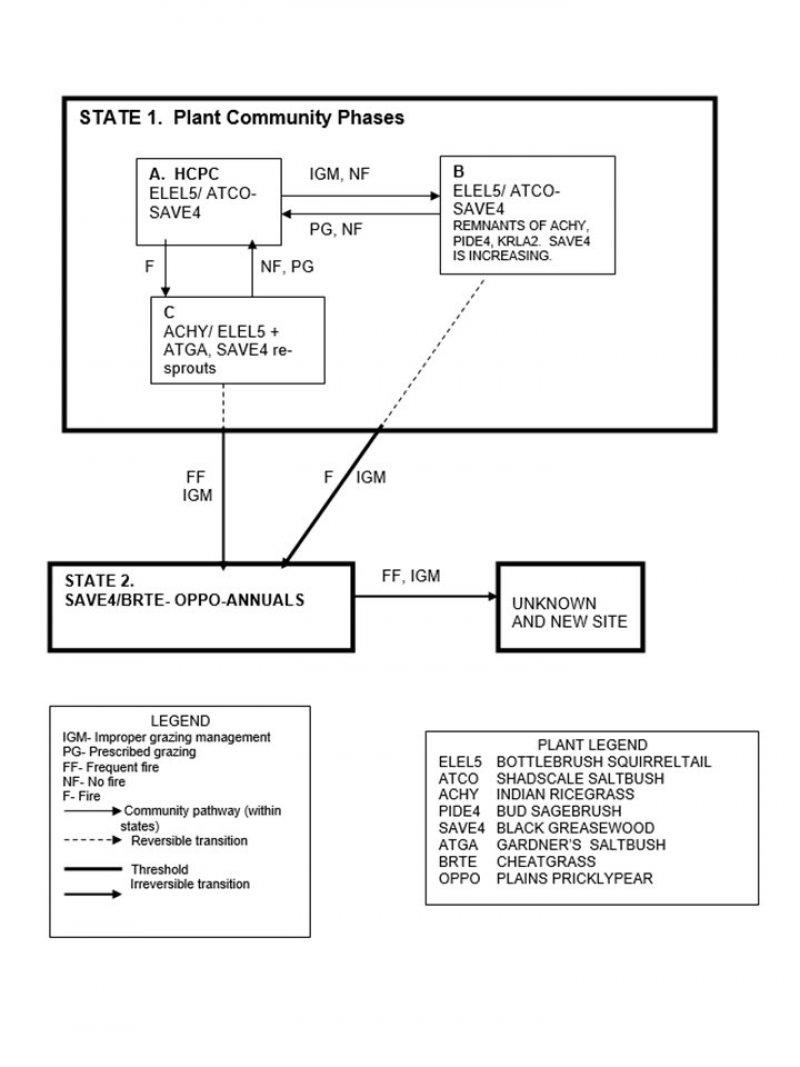Model diagram