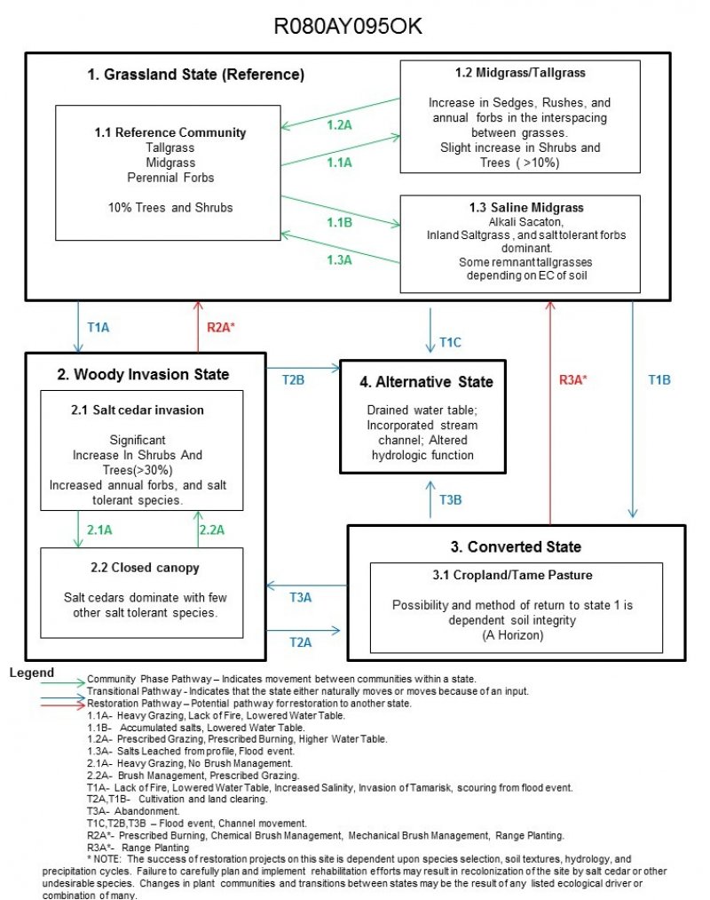 Model diagram