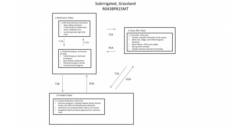Model diagram