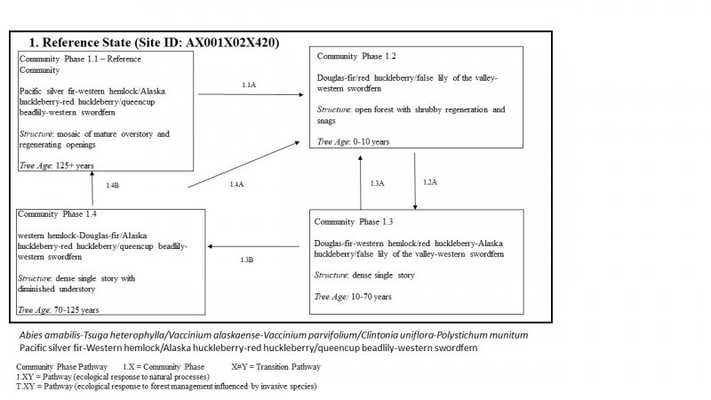 Model diagram