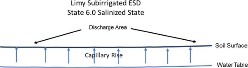 Model diagram