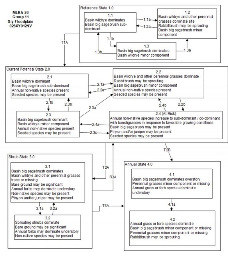 Model diagram