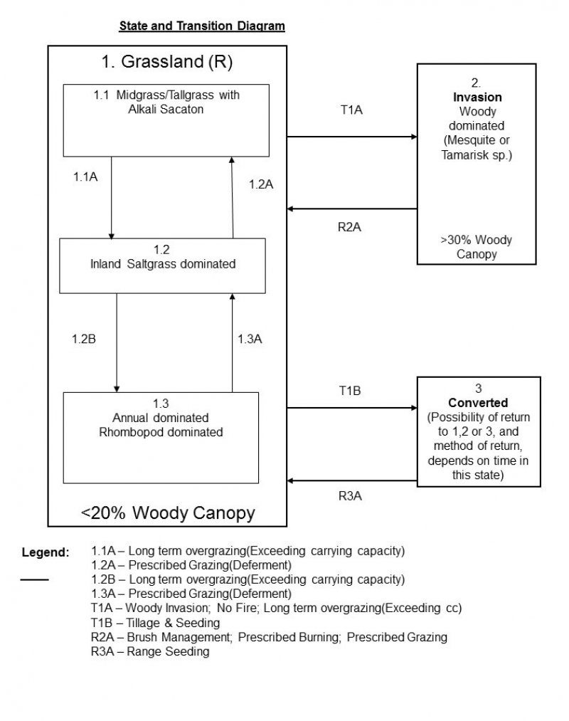 Model diagram