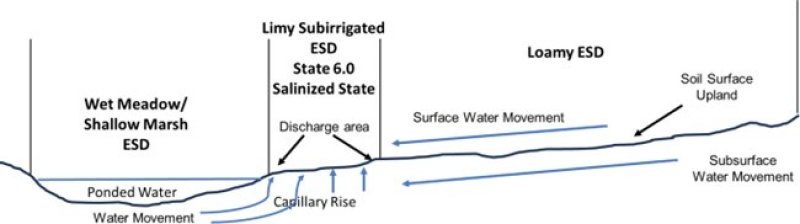 Model diagram