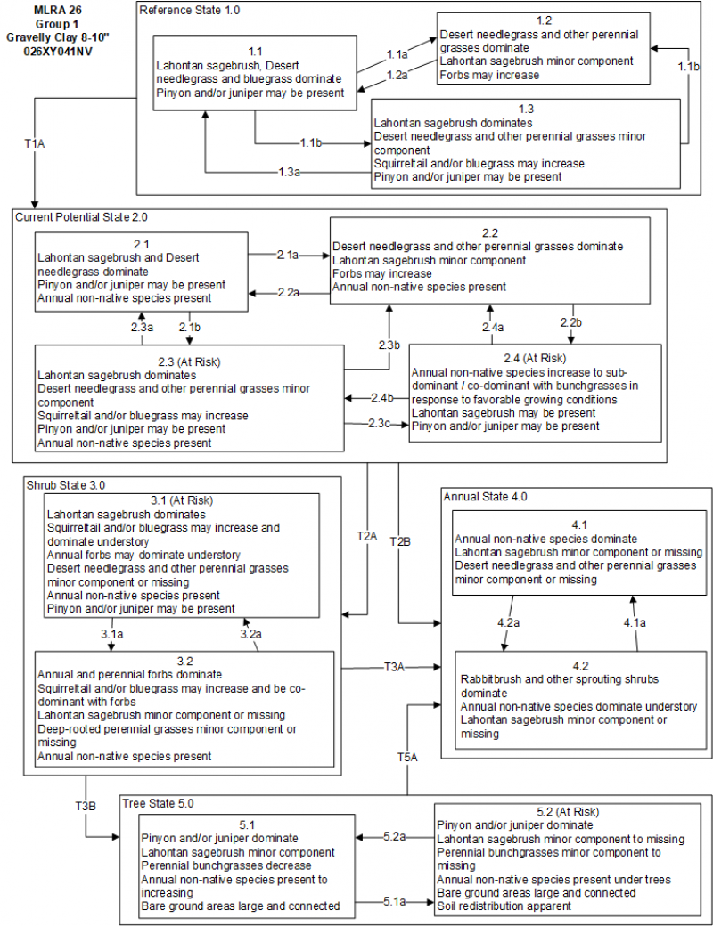 Model diagram