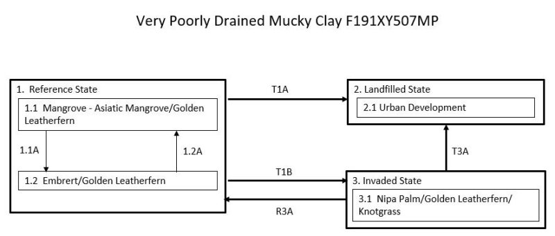 Model diagram