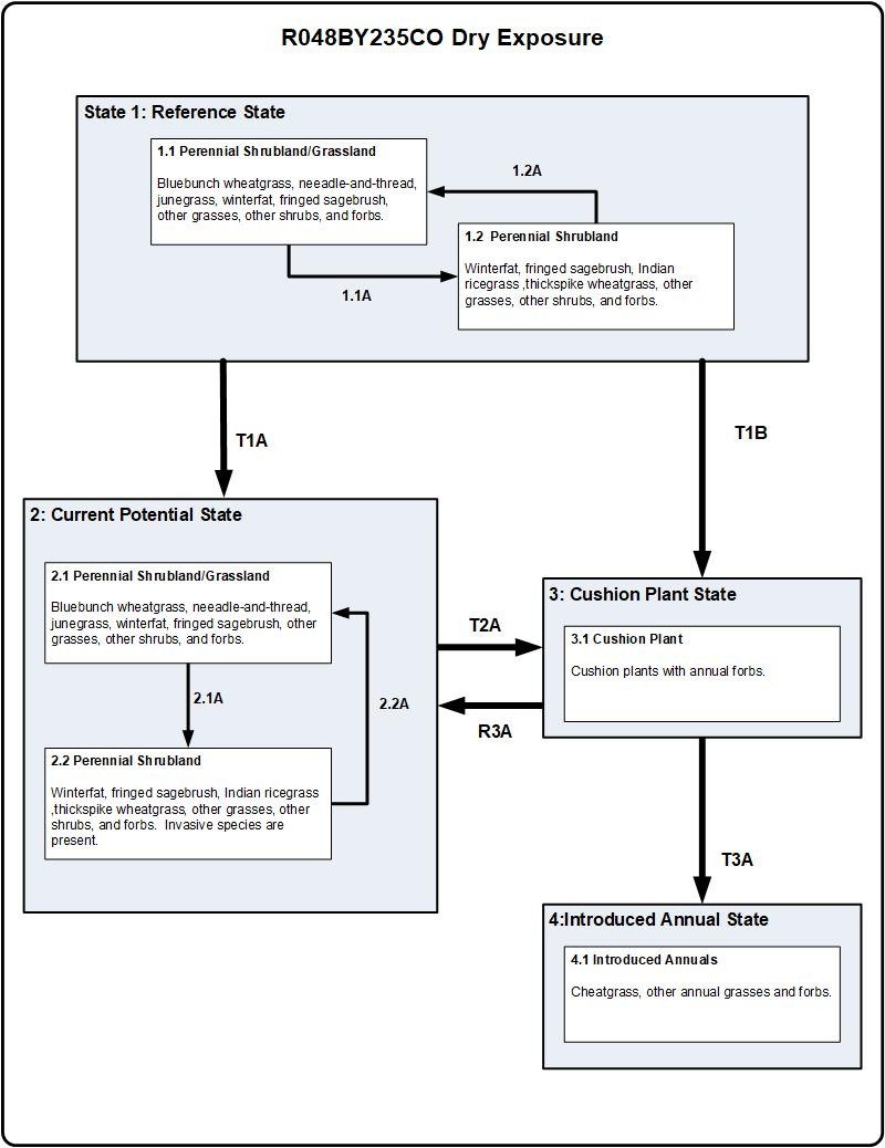 Model diagram
