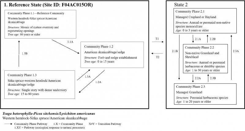 Model diagram