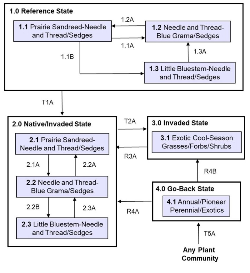 Model diagram