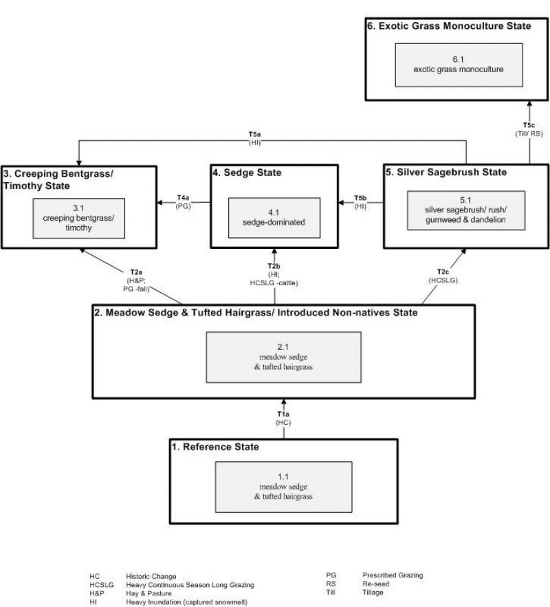 Model diagram