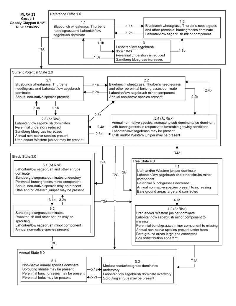 Model diagram