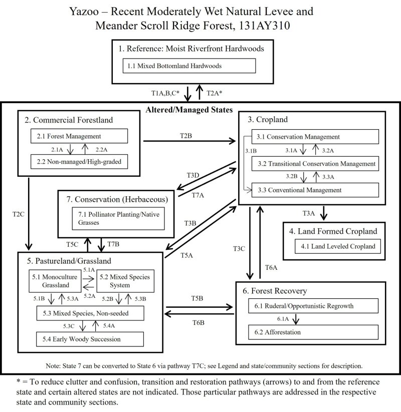 Model diagram