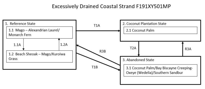 Model diagram