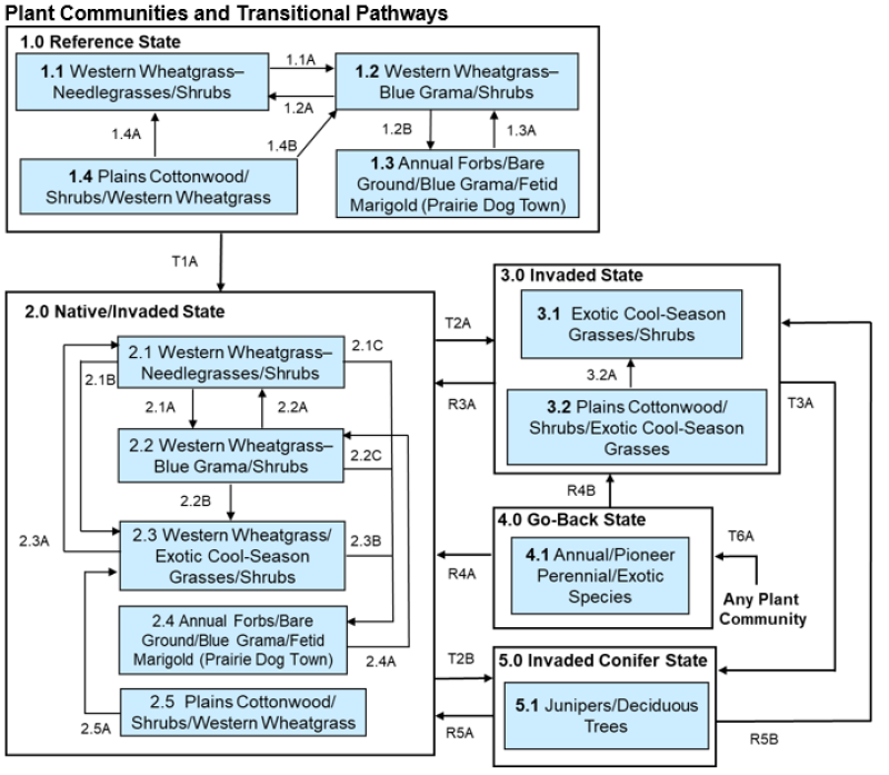 Model diagram