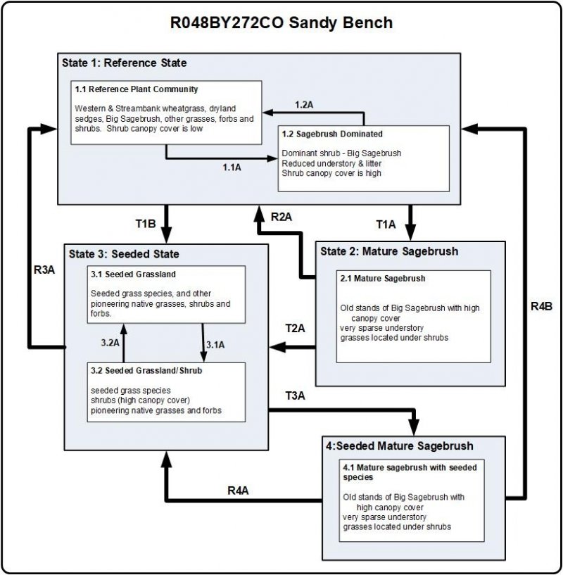 Model diagram