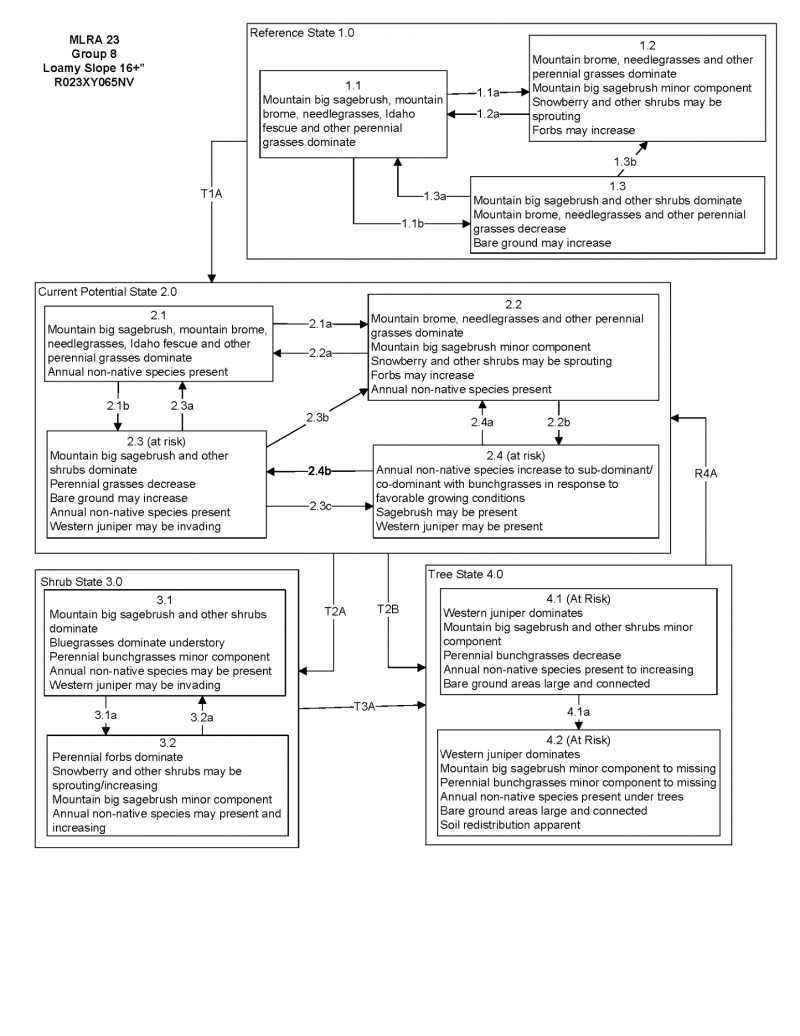 Model diagram