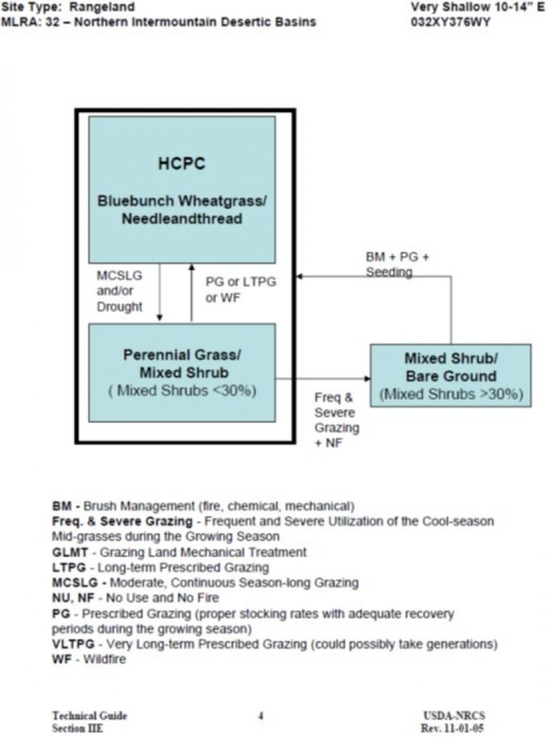 Model diagram