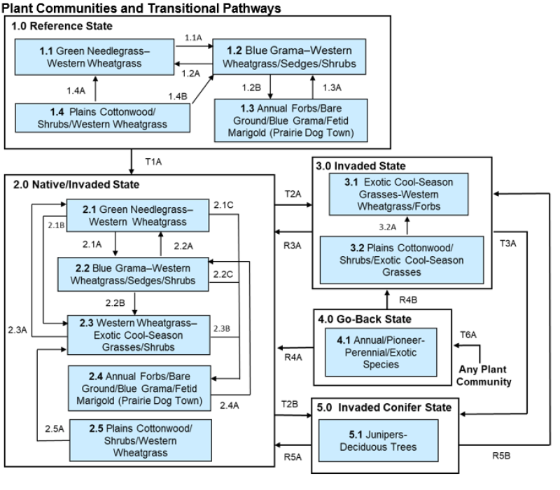 Model diagram