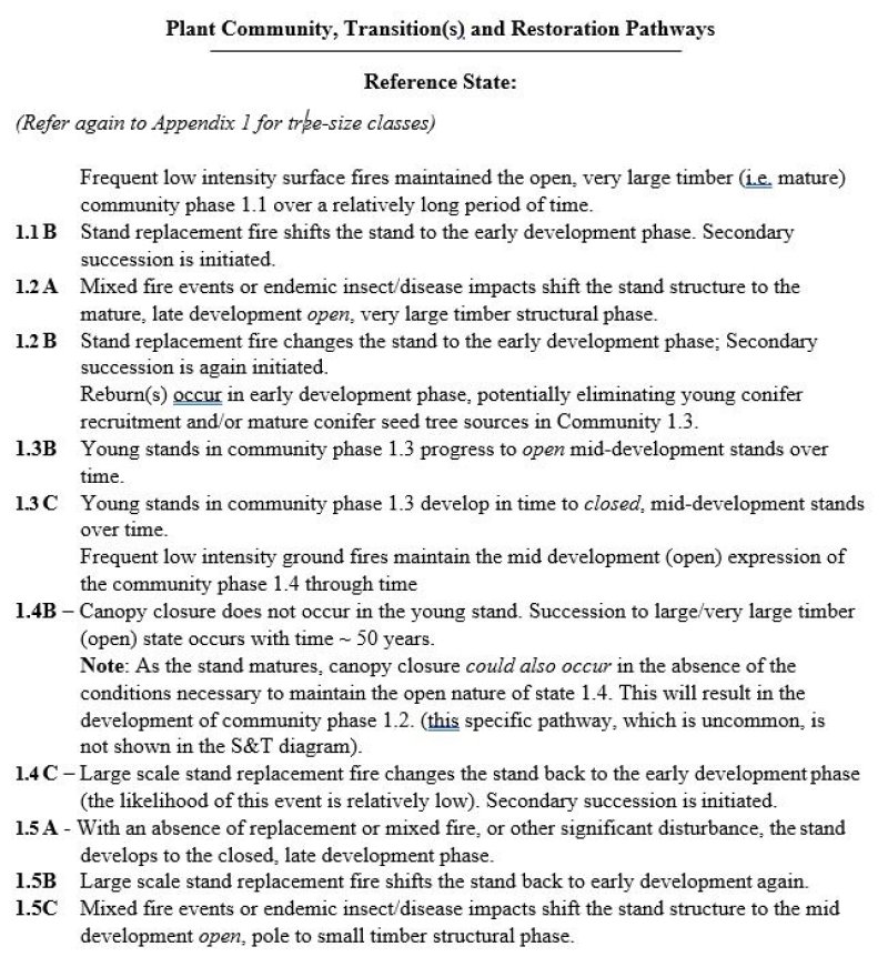 Model diagram