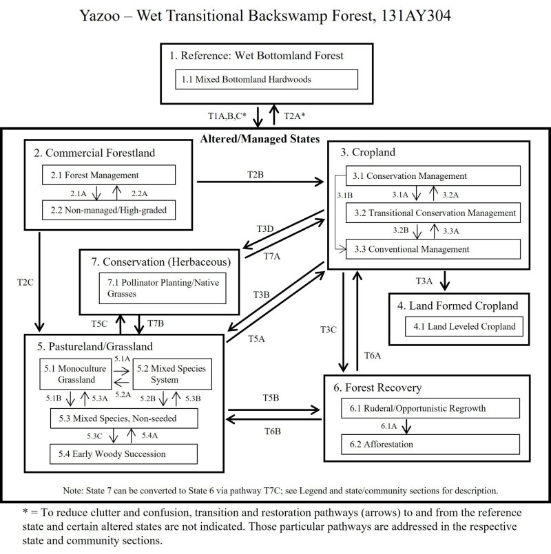 Model diagram