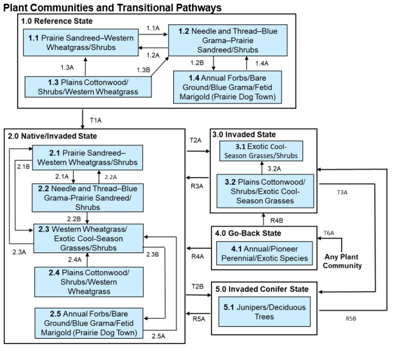 Model diagram