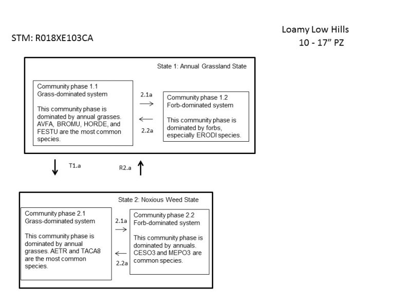 Model diagram