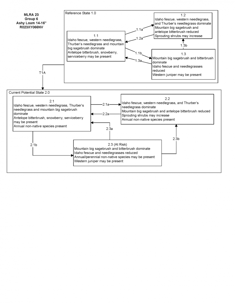Model diagram