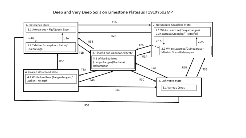 Model diagram