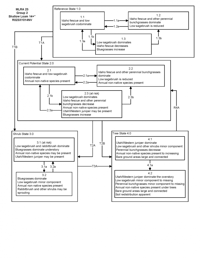 Model diagram