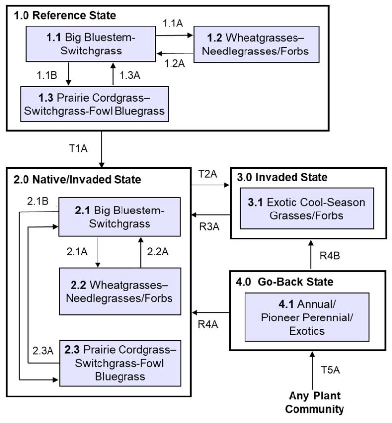 Model diagram