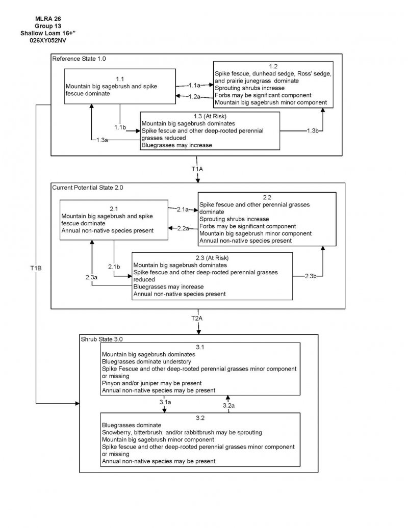 Model diagram