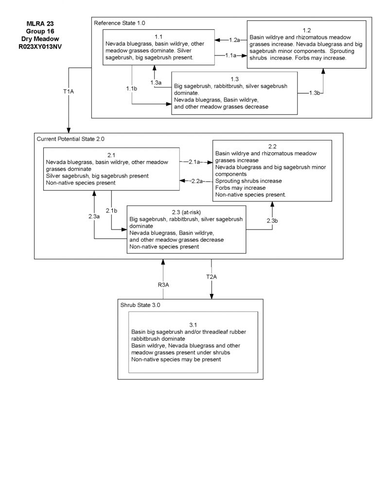 Model diagram