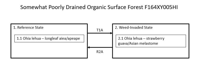 Model diagram