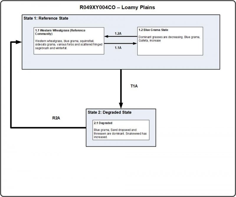 Model diagram