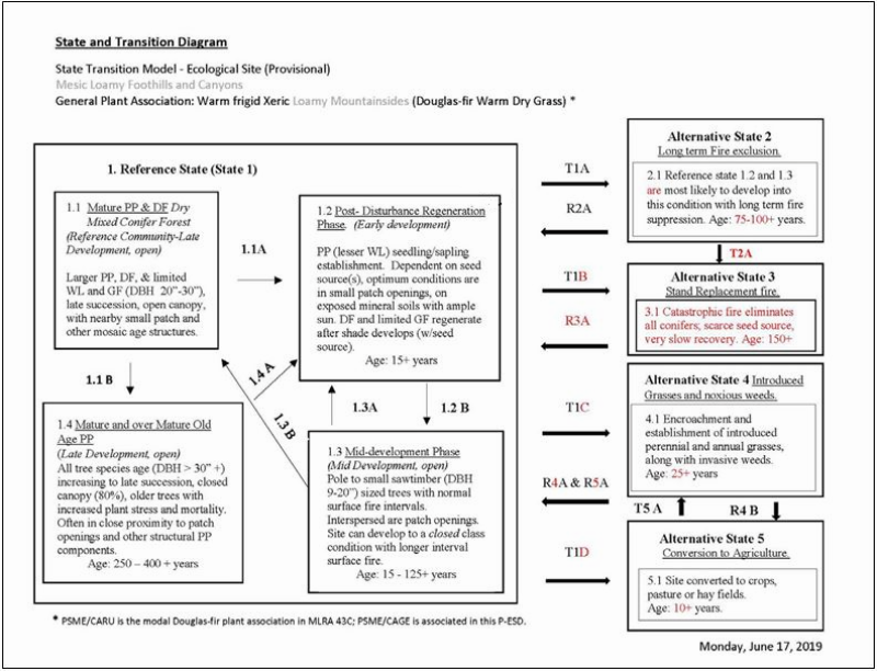 Model diagram